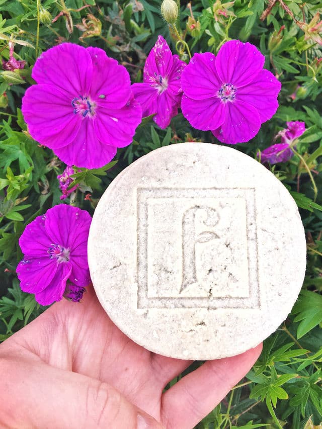 facetheory Claribar Oil Control Face and Body Bar review photo by KWYNBeauty