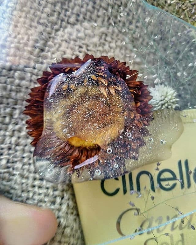 Clinelle CaviarGold Firming Cleanser review photo by Meylinaruliawati