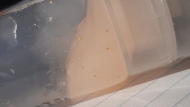 SKIN&LAB [Discontinued] Dr. Vita Clinic Always Vita Exfoliator review photo by Mimi09