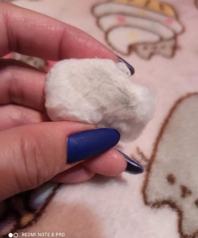 NEOGEN Dermalogy Real Ferment Micro Toner  review photo by MoonCat