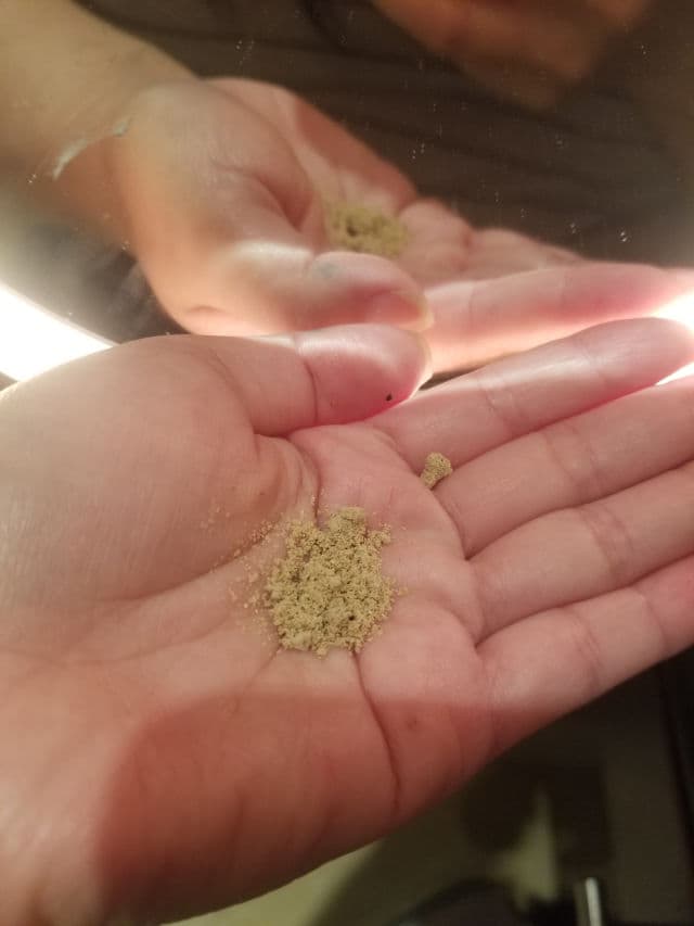 100% Pure Lavender Oat Milk Soothing Cleanser review photo by PoppyForest