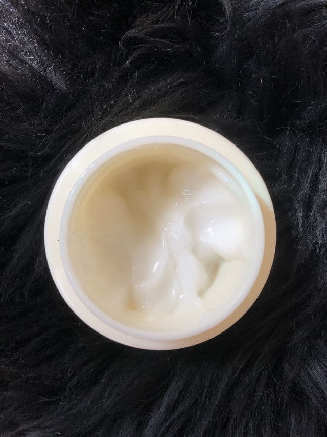 TONYMOLY Bling Cat Moisture Cream Pure & Mild review photo by ReeneeReviews