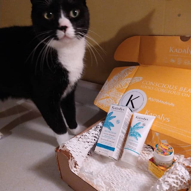 Kadalys Musaclean - Exfoliating Peeling Mask review photo by ReneeC