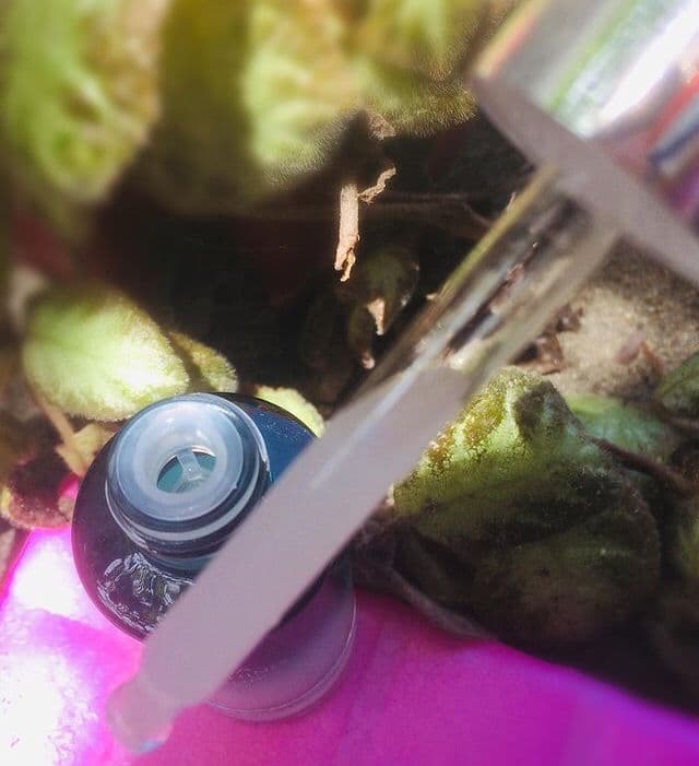 Everwhite Cica Soothing Serum review photo by Ristra