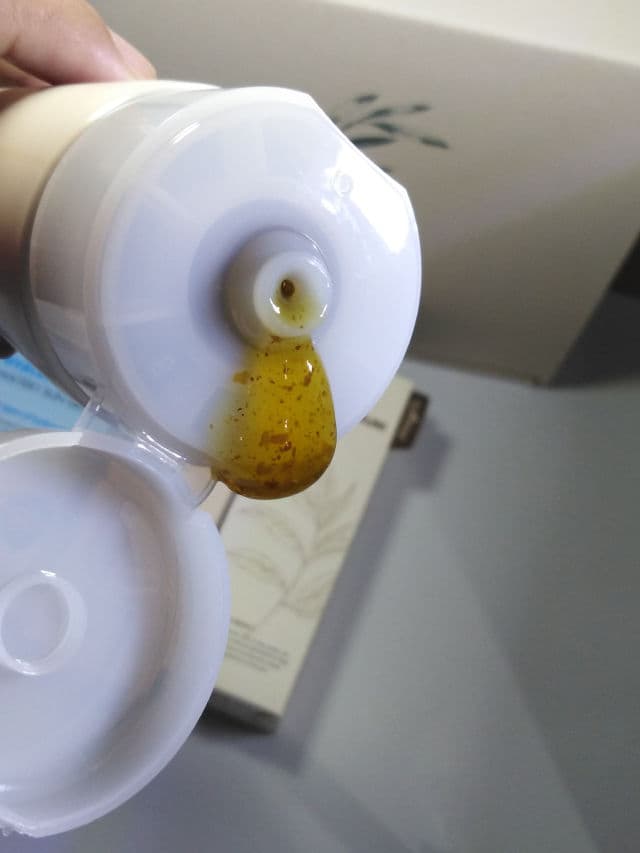 ISNTREE Green Tea Fresh Cleanser  review photo by Septianievi3