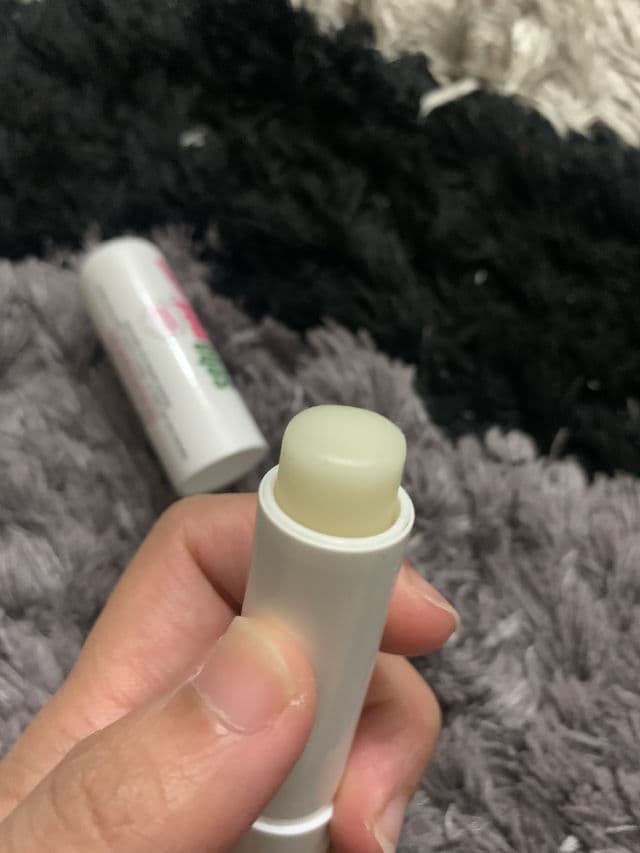 Sebamed Lip Defense review photo by SkincareVirgin
