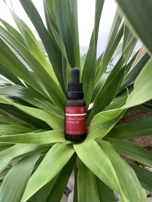Trilogy Rosehip Oil Antioxidant+ review photo by beautyfirstbysv