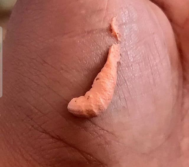 Re'equil Sheer Zinc Tinted Mineral Sunscreen SPF 50 PA review photo by Tapaswini