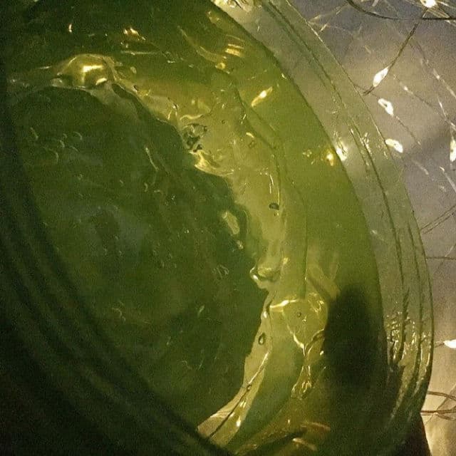 ESFOLIO Aloe Vera Moisture Soothing Gel review photo by TheGeekyBeaute