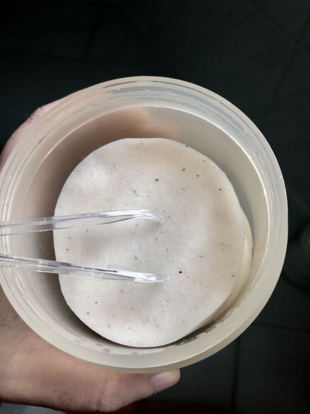 I'M FROM Pear Soothing Pad review photo by VanessaC