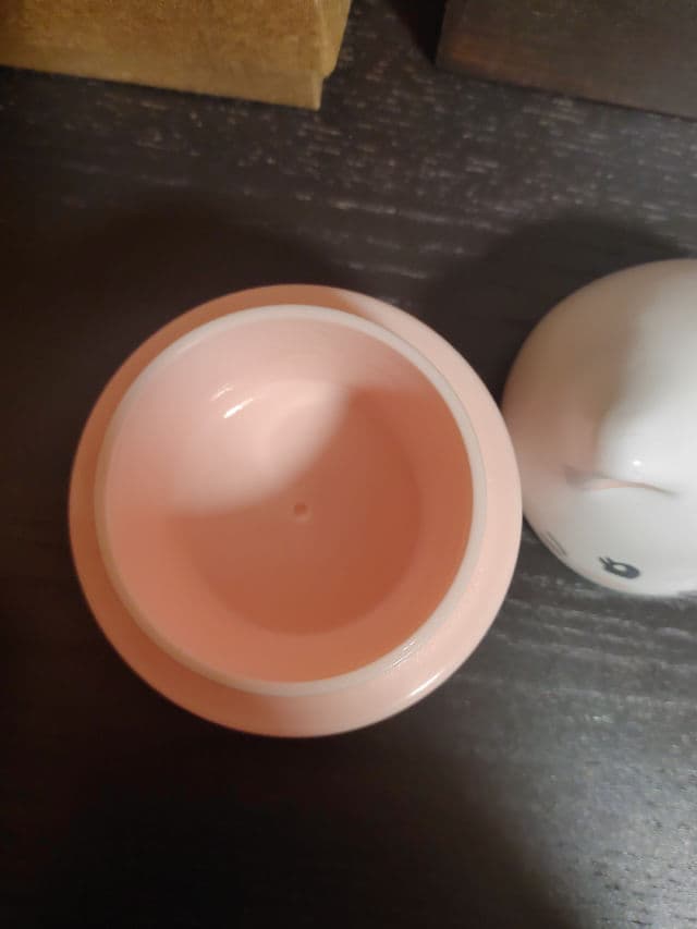 TONYMOLY Cat’s Purrfect Day Cream review photo by Vlora