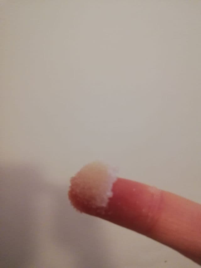 LUSH Honey Lip Scrub review photo by amyfreebiesfreak