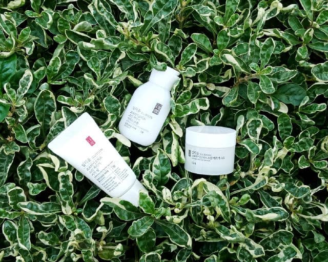 ILLIYOON Probiotics Skin Barrier Cica Balm review photo by andrinugraha24