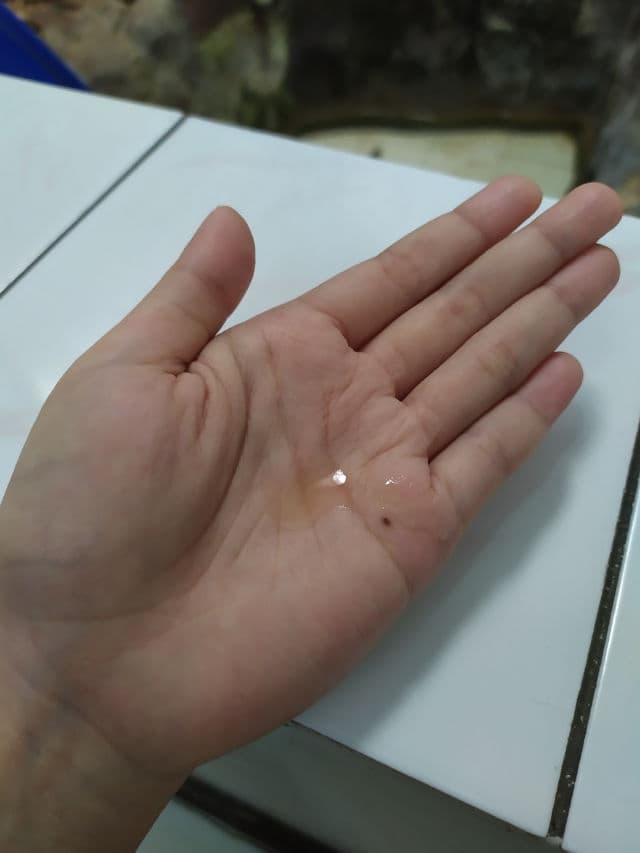 A.True Real Black Tea True Active Essence review photo by anindiyaokt