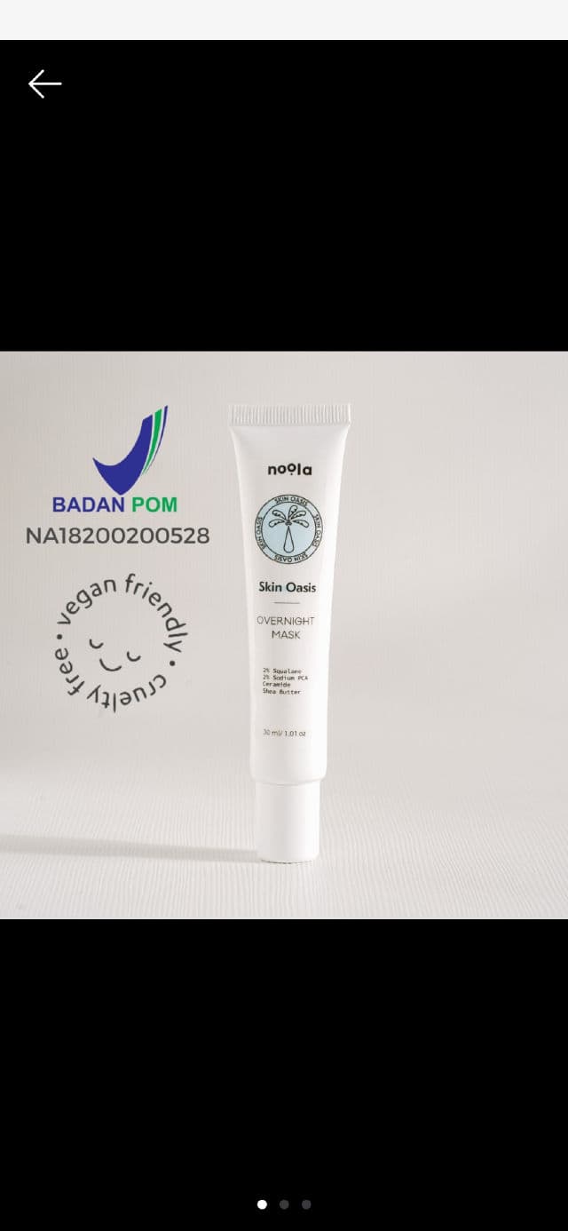 Noola Skin Oasis Overnight Mask review photo by ayugotoglow