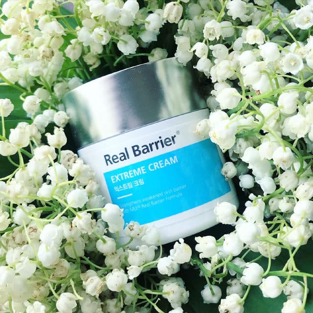 Real Barrier [Discontinued] Extreme Cream review photo by beautyblogjulia