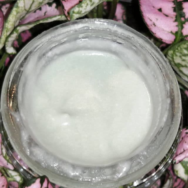 Earth Harbor Naturals Aqua Aura Reparative Eye Creme review photo by beautywithdanni