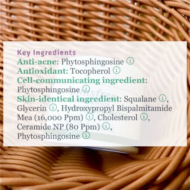 INNISFREE Derma Formula Green Tea Probiotics Cream review photo by caramelskindiary