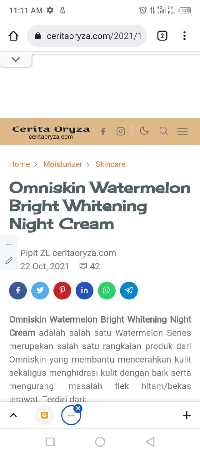 OMNISKIN Watermelon Bright – Whitening Night Cream review photo by ceritaoryza