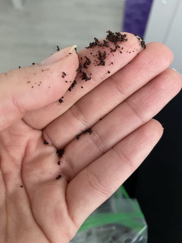 Frank Body Original Coffee Scrub review photo by CindyCuidaTuPiel