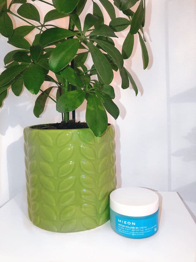 Mizon Water Volume Ex Cream review photo by skinwithclods
