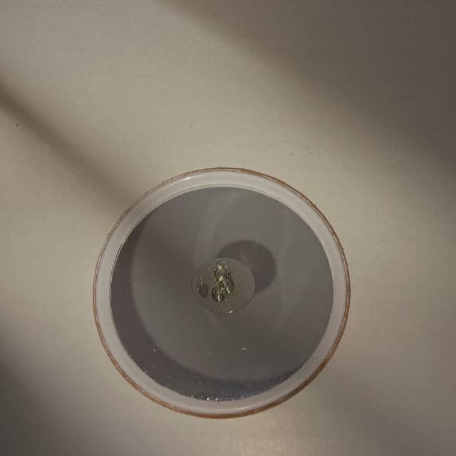 COMMONLABS Vitamin E Calming Ampoule review photo by Celestinee