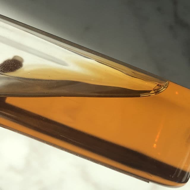 One Thing Camellia Sinensis Leaf Extract review photo by halleysburrow