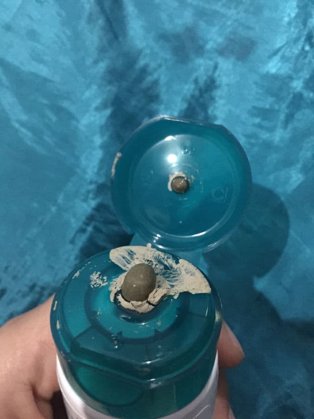 Himalaya Purifying Neem Mask review photo by hellosidney