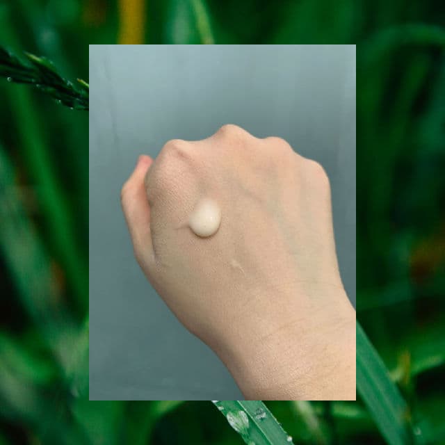 ISNTREE Green Tea Fresh Emulsion review photo by isaglowup