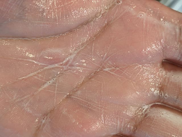 ELF Holy Hydration! Daily Cleanser review photo by lusitania