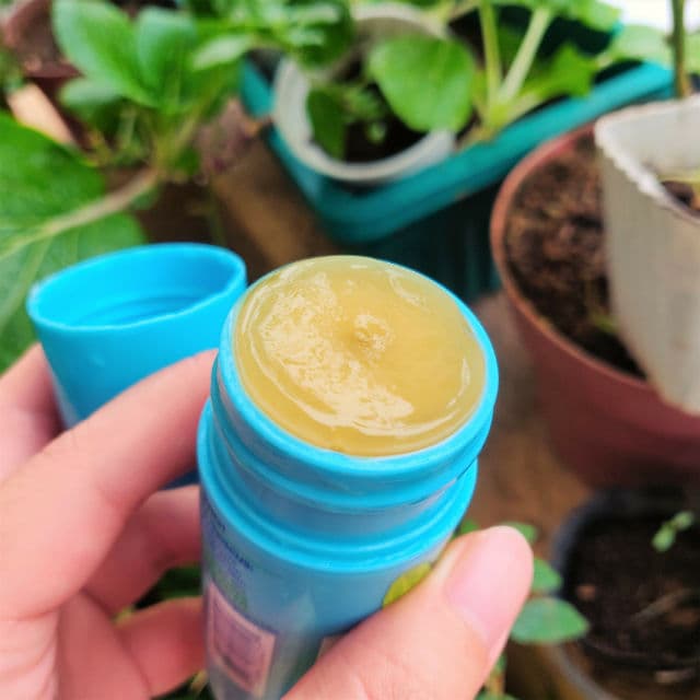 St. Ives Cactus Water & Hibiscus Cleansing Stick review photo by matromao