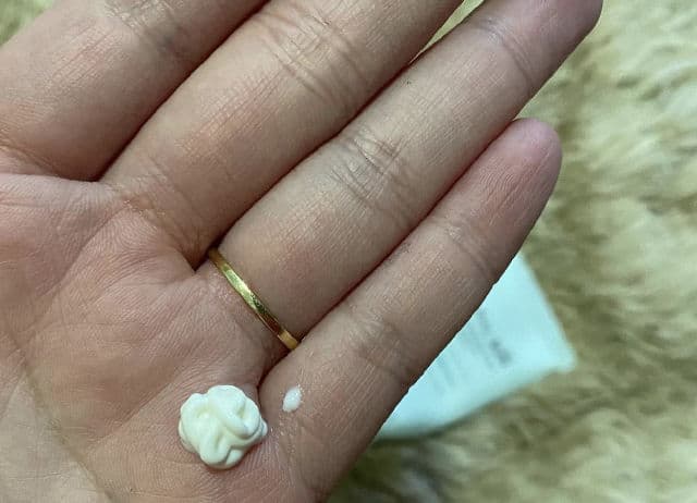 THE FACE SHOP Natural Sun Eco No Shine Hydrating Sun Cream SPF50+ PA+++ review photo by michelledexplorer