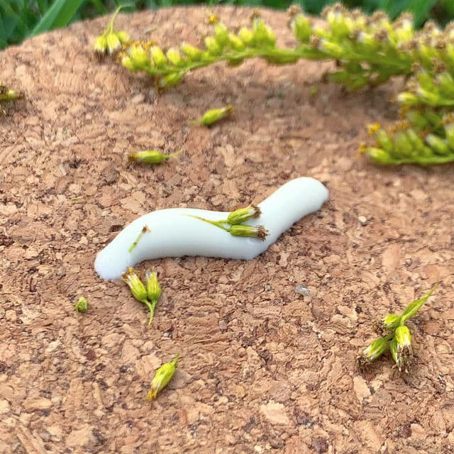 Verdio UV Moisture Essence SPF50+ PA++++ review photo by mmskin