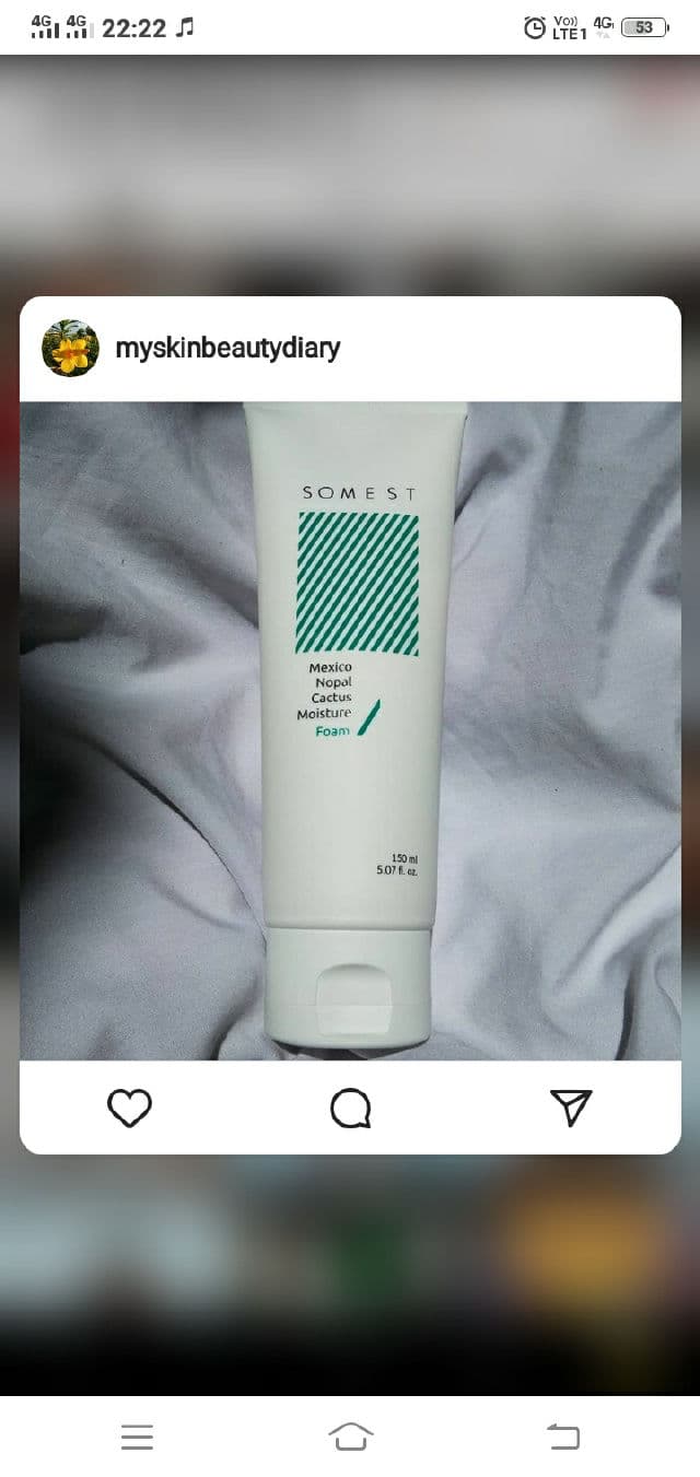 SOMEST Mexico Nopal Cactus Moisture Foam Cleanser review photo by myskinbeautydiary