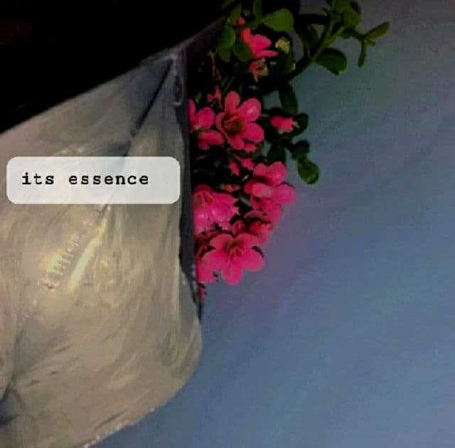 Abib Gummy Sheet Mask Madeca Sticker review photo by nrzlkha