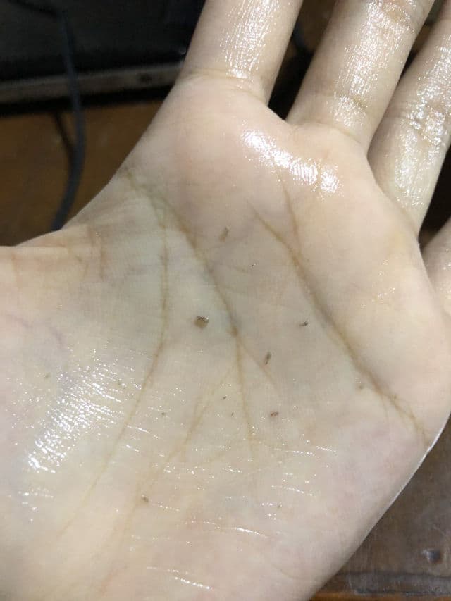 Coxir Ultra Hyaluronic Cleansing Oil review photo by oenniebeauty