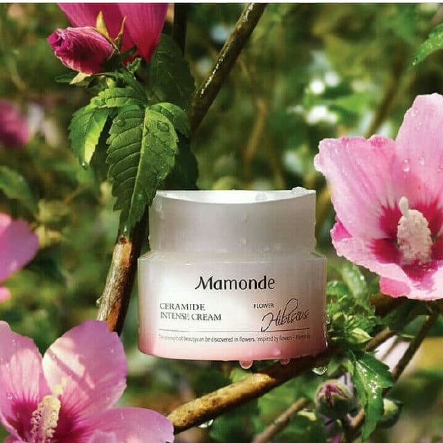 Mamonde Ceramide Intense Cream review photo by rputrikinasih21