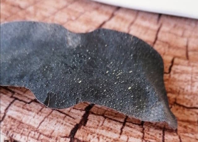 DEWYTREE Charcoal Nose Strip with Volcanic Ash review photo by serenass98