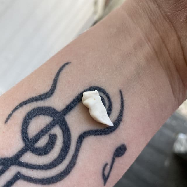 Treeactiv Safflower Oleosomes Daily Natural Moisturizing Sunscreen SPF 30 review photo by shalynamber