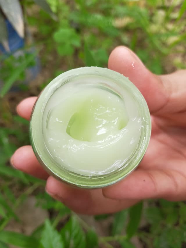 Bella Vita Organic Eyelift Gel Cream review photo by shradhasingh