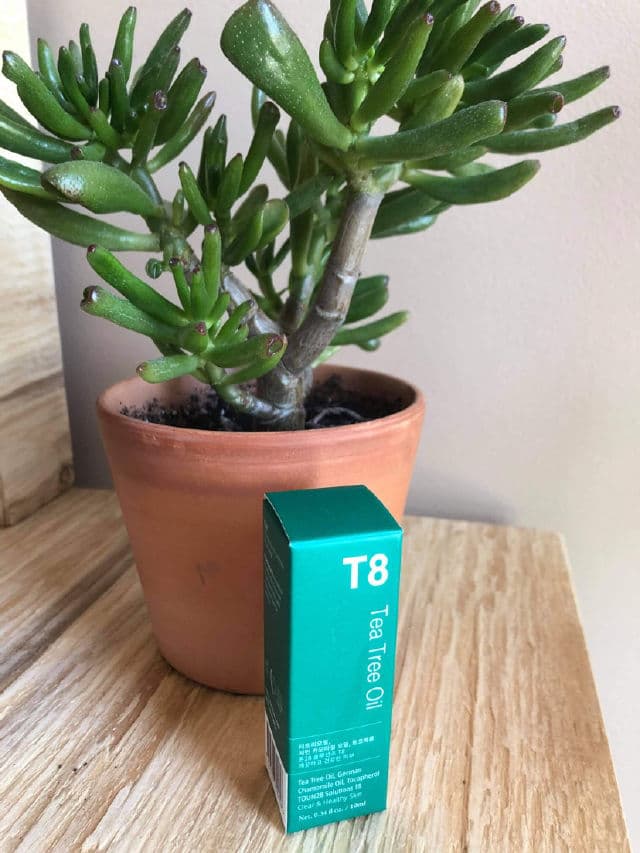 TOUN 28 T8 Tea Tree Oil review photo by skasiantusiast