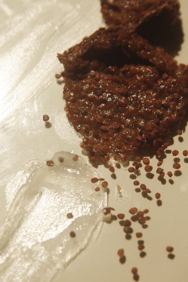 Pestlo The Seed Real Collagen Mask review photo by skinmindph