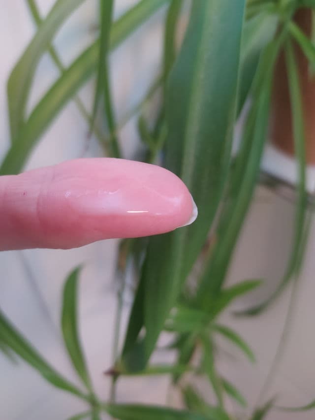 InstaNatural Niacinamide Serum review photo by Trueskinbliss