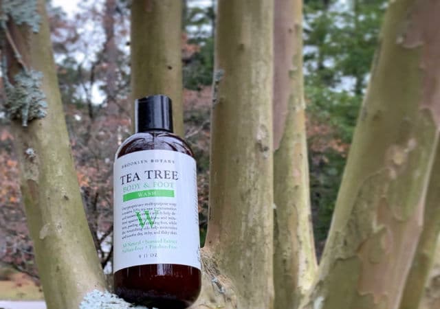 Brooklyn Botany Tea Tree Body & Foot Wash review photo by thebeautybops