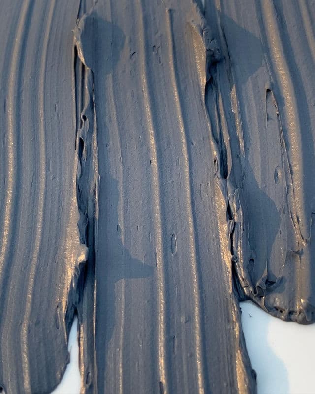 Brooklyn Botany Dead Sea Mud Mask with Tea Tree Oil review photo by thebeautybops