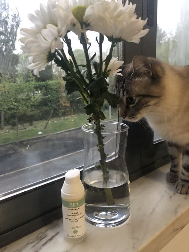 Ren Face Gentle Cleansing Milk review photo by tysya89