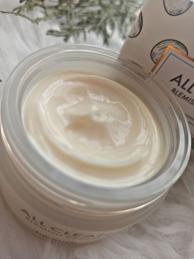 Heimish All Clean Blemish Cream review photo by vasylyna