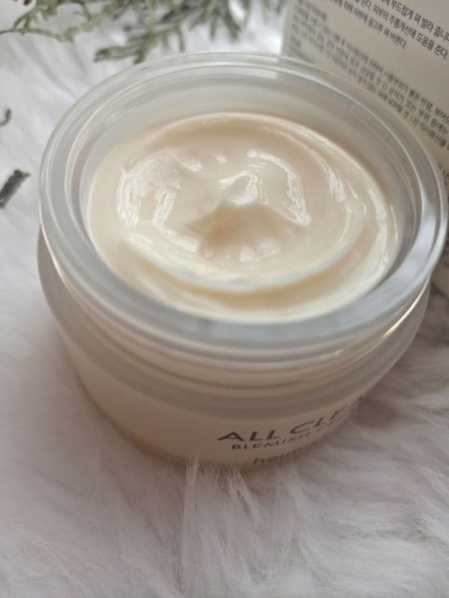 Heimish All Clean Blemish Cream review photo by vasylyna