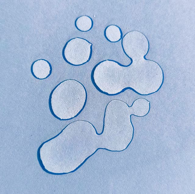 The Plant Base AC Clear Pure N Skin Toner review photo by vividskiiin