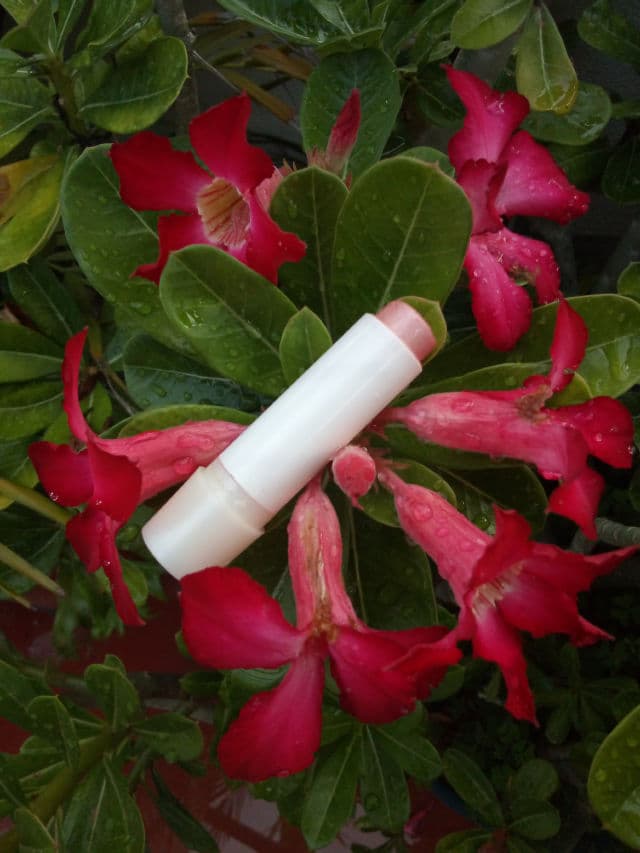 Nivea A Kiss of Shimmer Radiant Lip Care review photo by yamiisakura